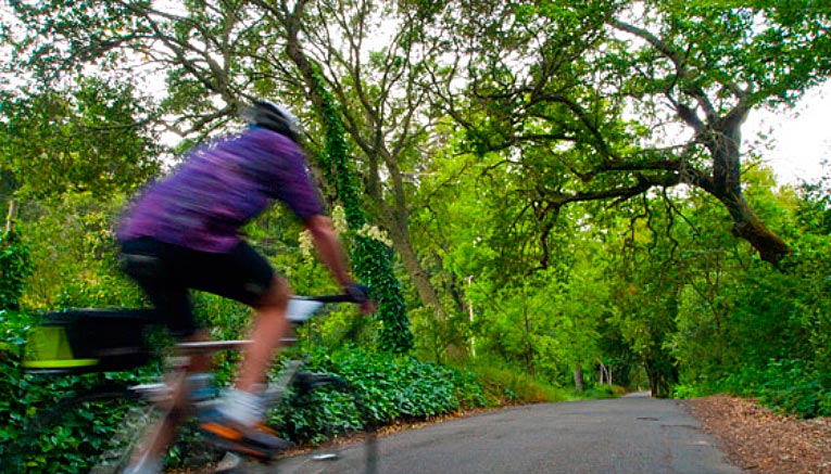 Bsbi-santabarbara-biking-9